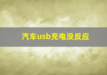 汽车usb充电没反应