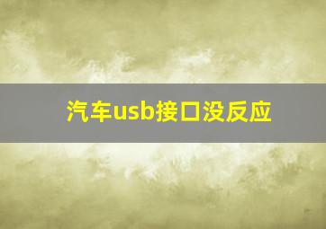 汽车usb接口没反应