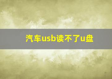 汽车usb读不了u盘