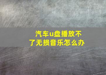 汽车u盘播放不了无损音乐怎么办