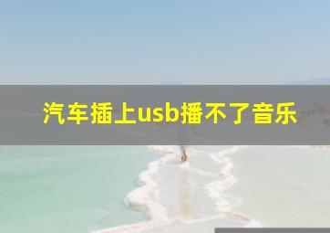 汽车插上usb播不了音乐