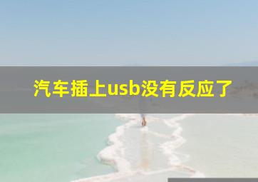 汽车插上usb没有反应了