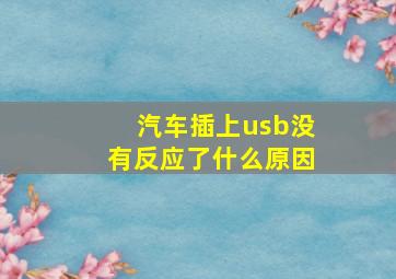 汽车插上usb没有反应了什么原因