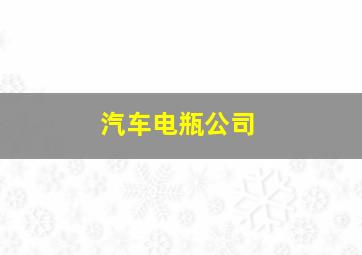 汽车电瓶公司