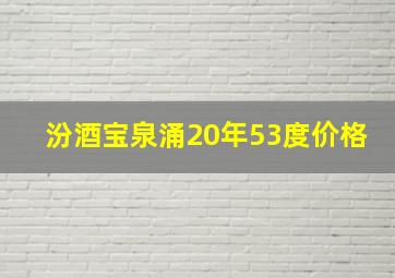 汾酒宝泉涌20年53度价格