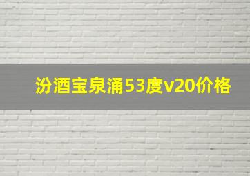 汾酒宝泉涌53度v20价格