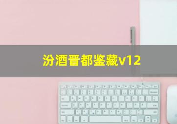 汾酒晋都鉴藏v12