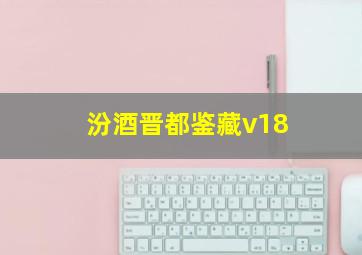 汾酒晋都鉴藏v18