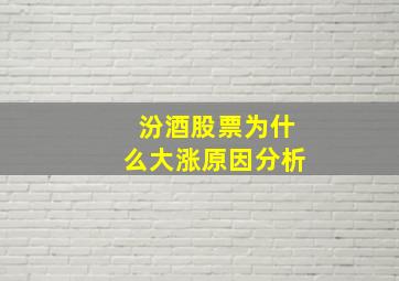 汾酒股票为什么大涨原因分析