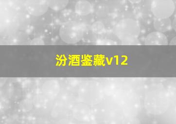 汾酒鉴藏v12