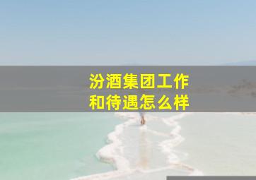 汾酒集团工作和待遇怎么样