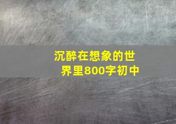 沉醉在想象的世界里800字初中