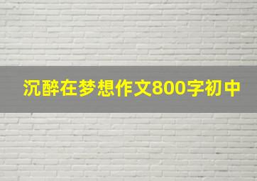 沉醉在梦想作文800字初中