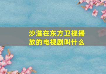 沙溢在东方卫视播放的电视剧叫什么