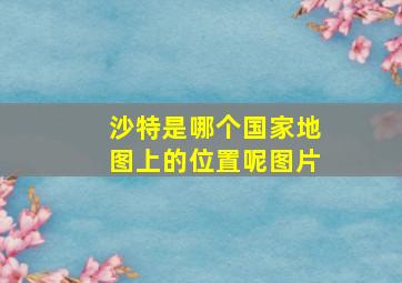 沙特是哪个国家地图上的位置呢图片