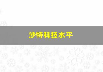 沙特科技水平