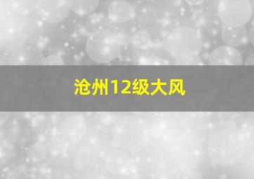 沧州12级大风