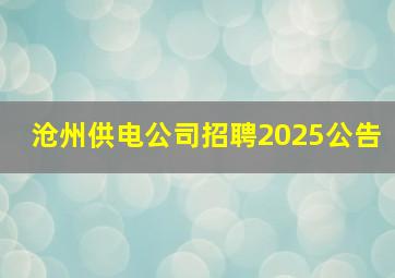 沧州供电公司招聘2025公告