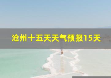 沧州十五天天气预报15天