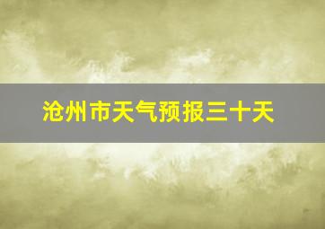 沧州市天气预报三十天