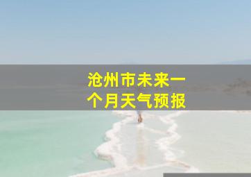 沧州市未来一个月天气预报