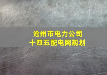 沧州市电力公司十四五配电网规划