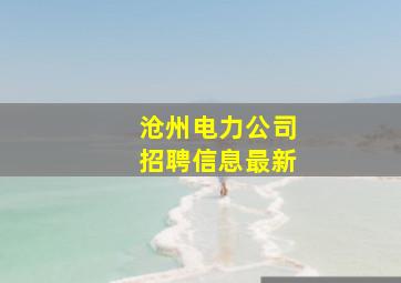 沧州电力公司招聘信息最新