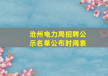 沧州电力局招聘公示名单公布时间表