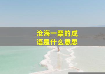 沧海一栗的成语是什么意思