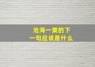 沧海一粟的下一句应该是什么