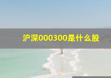 沪深000300是什么股