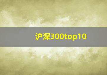 沪深300top10