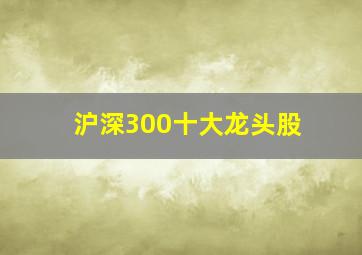 沪深300十大龙头股