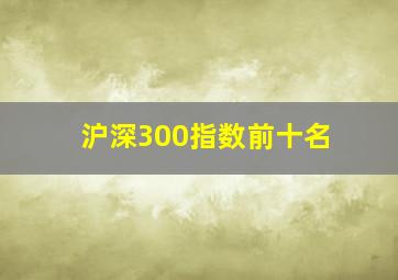 沪深300指数前十名