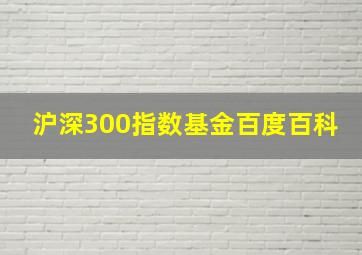 沪深300指数基金百度百科