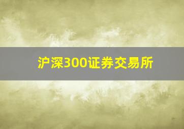 沪深300证券交易所