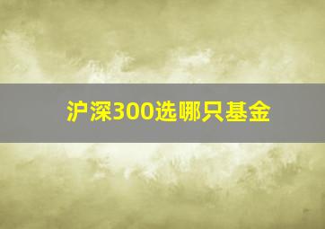 沪深300选哪只基金