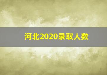 河北2020录取人数