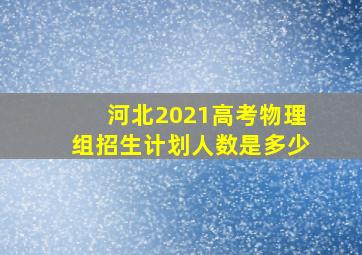 河北2021高考物理组招生计划人数是多少