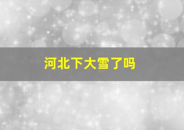 河北下大雪了吗