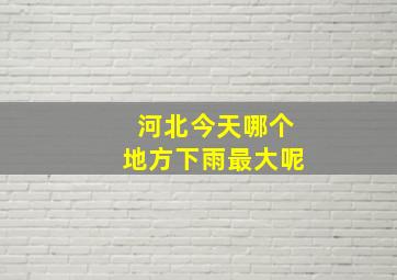 河北今天哪个地方下雨最大呢