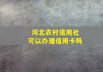 河北农村信用社可以办理信用卡吗