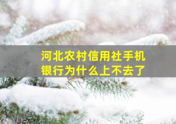 河北农村信用社手机银行为什么上不去了