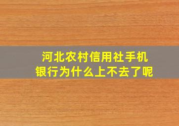 河北农村信用社手机银行为什么上不去了呢