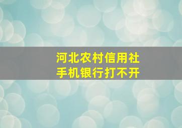 河北农村信用社手机银行打不开