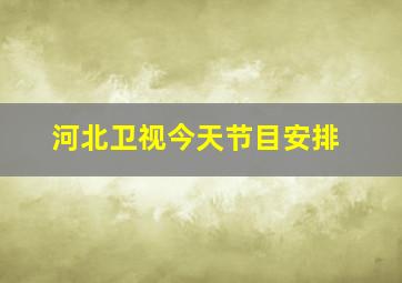 河北卫视今天节目安排