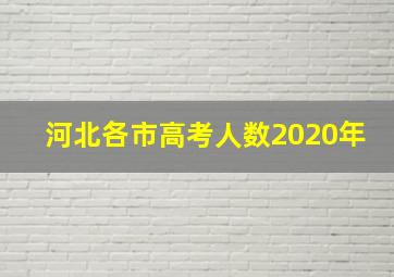 河北各市高考人数2020年