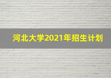 河北大学2021年招生计划