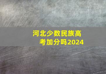 河北少数民族高考加分吗2024