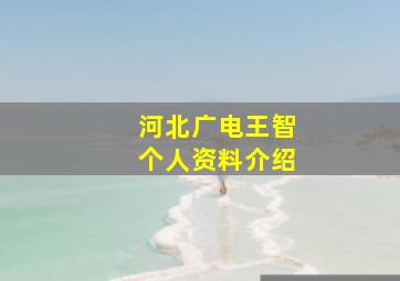 河北广电王智个人资料介绍